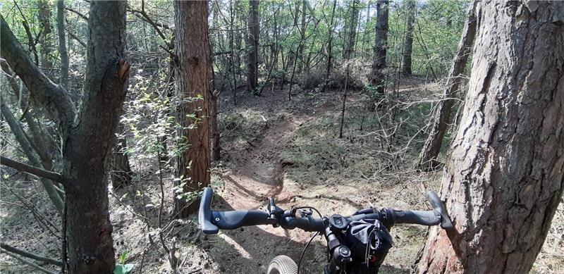 Essen mountainbikeparadijs!