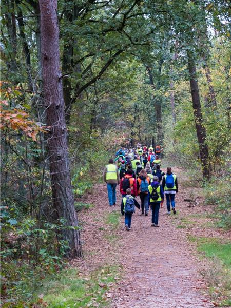 Wandelen - Toerisme Essen