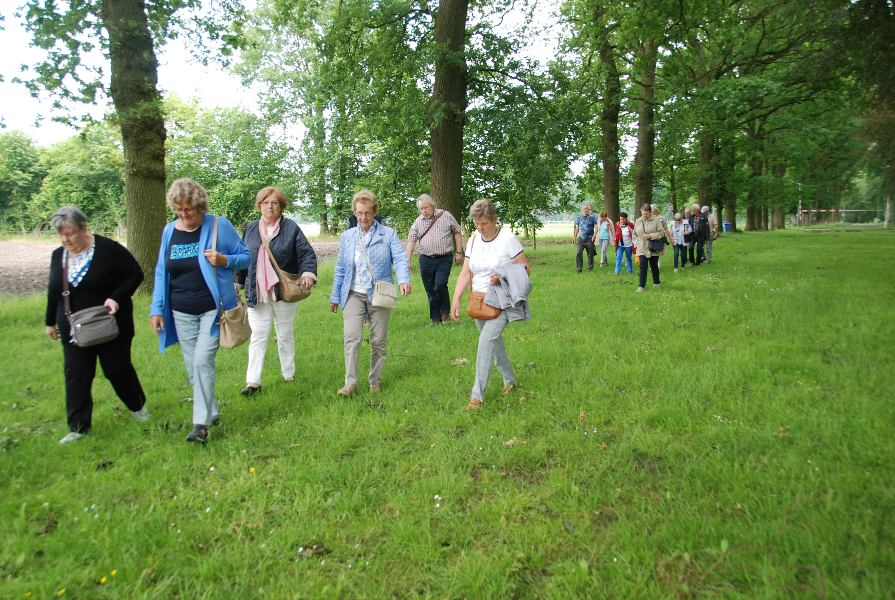 Wandelen in Essen