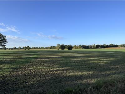 Welkom