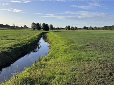 Welkom