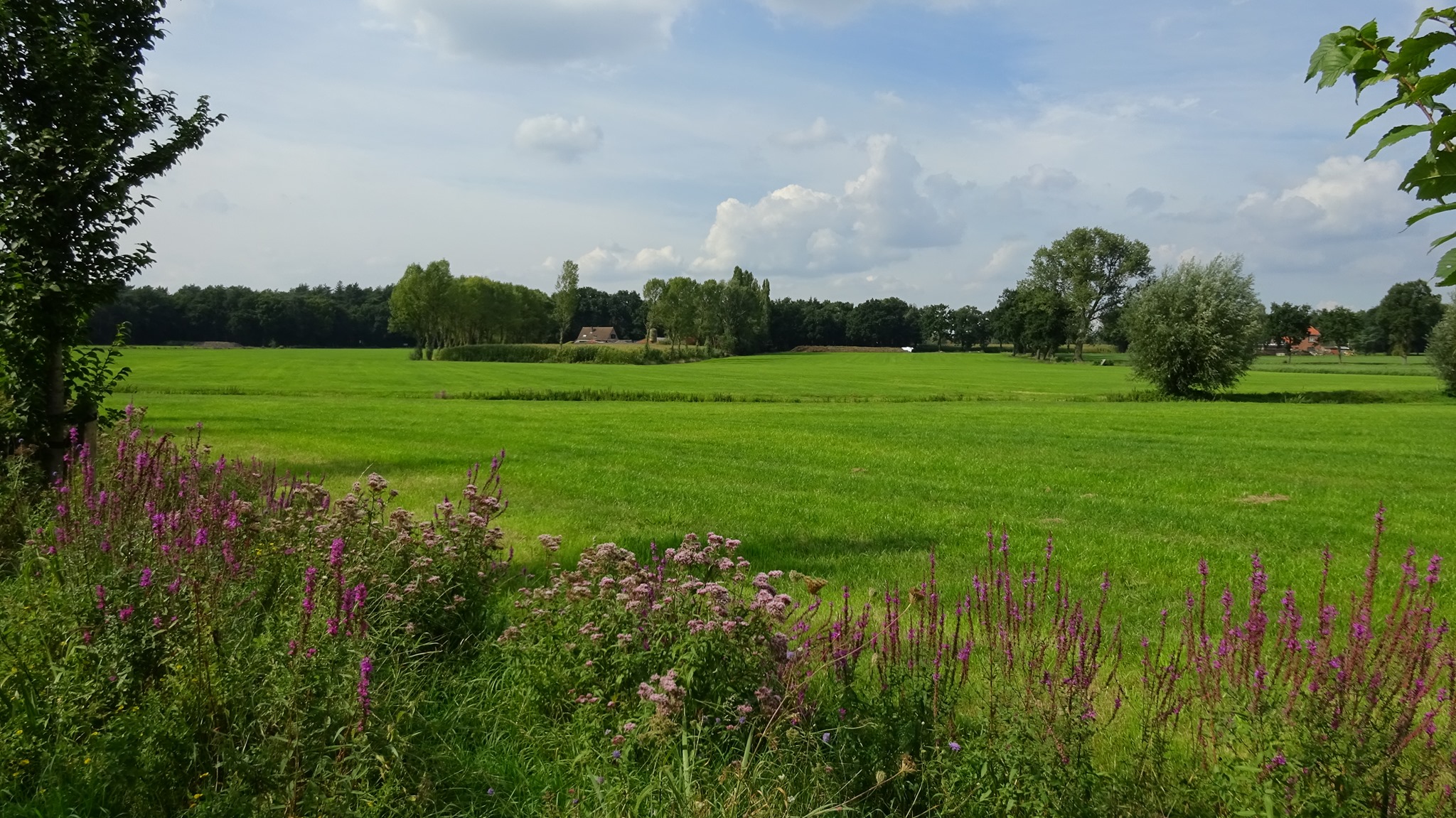 Terrassen terug toegankelijk: 'Lekker fietsen' kan